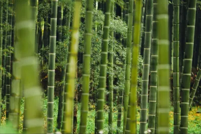 Cloud Paper | Save Trees