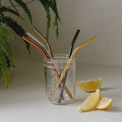Bent Stainless Steel Straw
