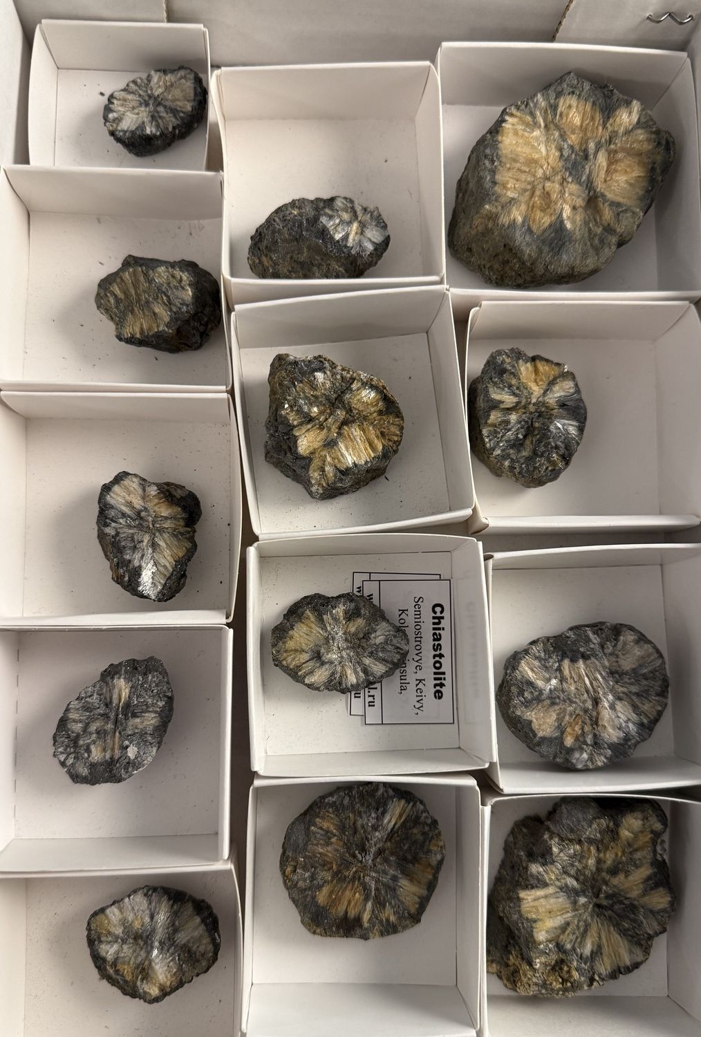 Andalusite var Chiastolite | Russia