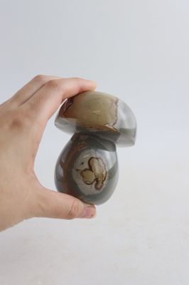 Large Chunky Polychrome Mushroom