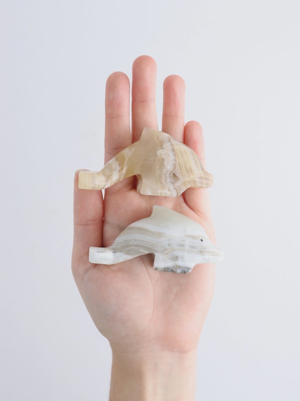 Onyx Dolphin