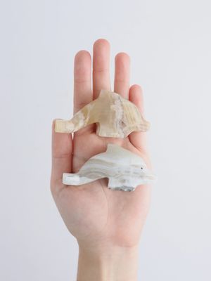 Onyx Dolphin