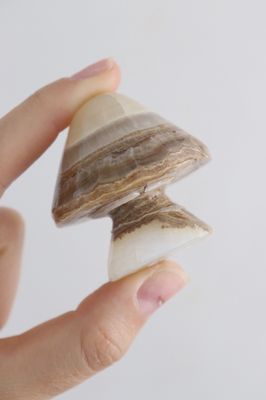 Imperfect Onyx Mushroom