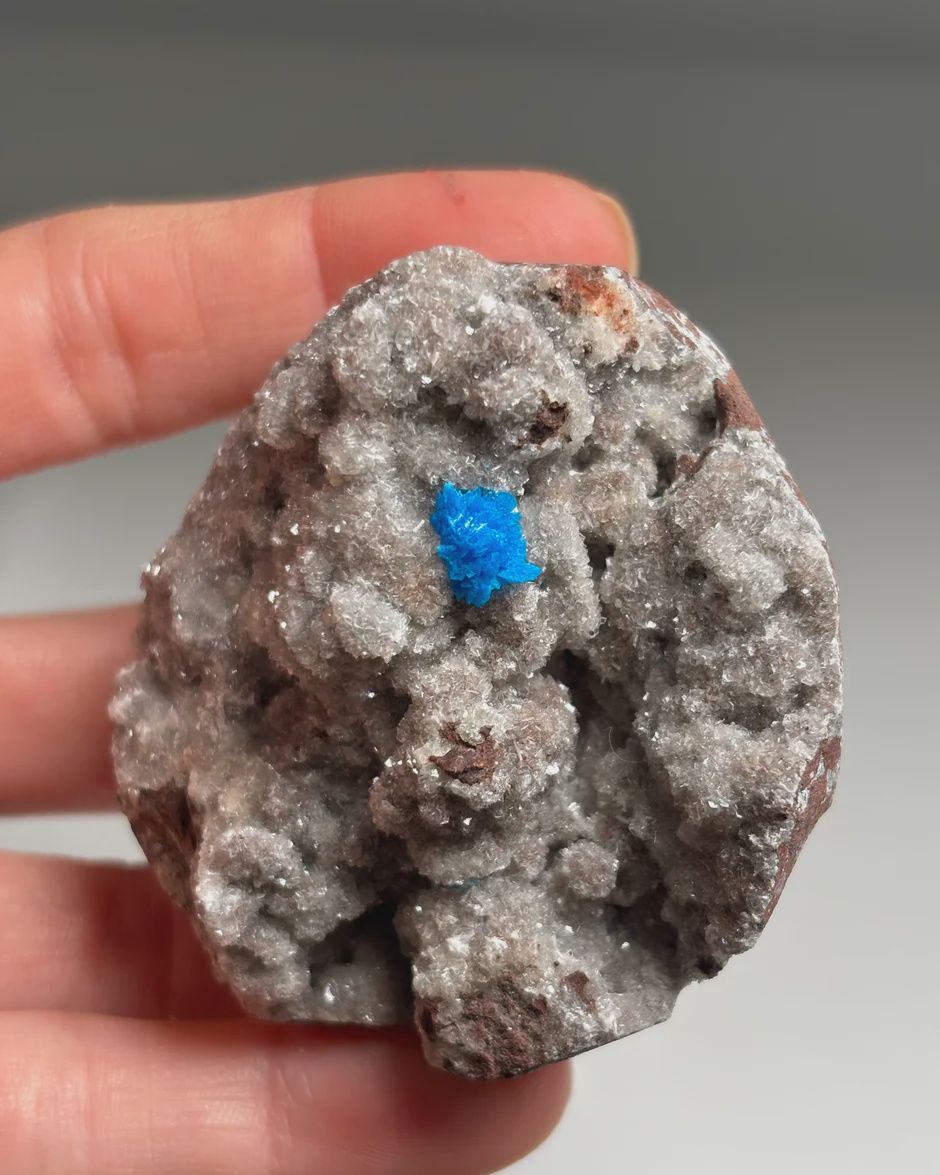 Electric Blue Cavansite on Matrix