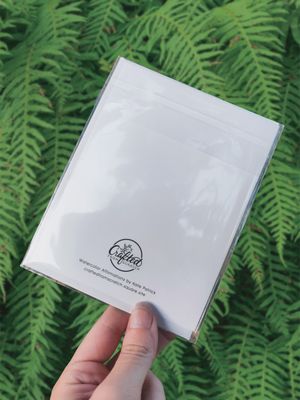 Raccoon Thanks Greeting Card