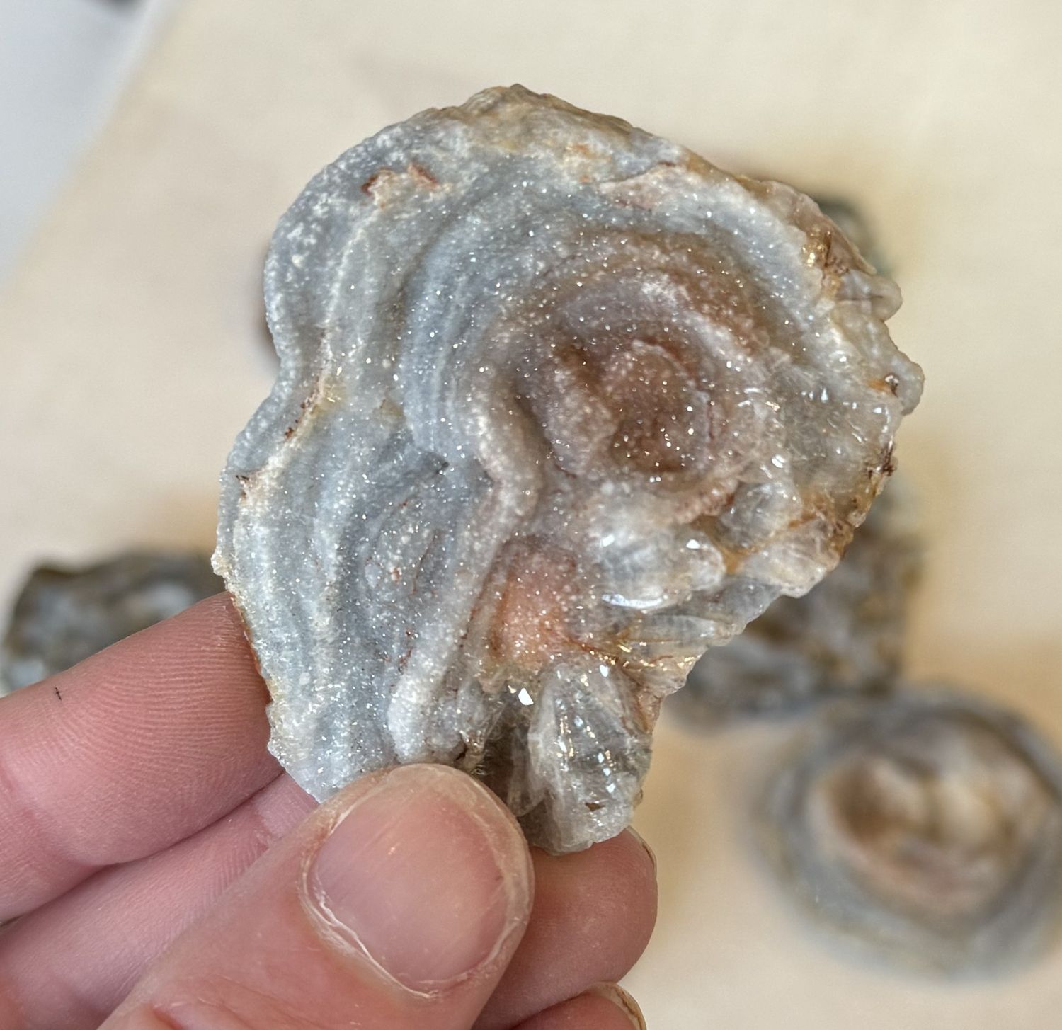 Amorite Druzy Chalcedony Rose / Quartz Concretion