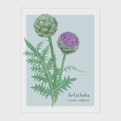 Artichoke Card - Botanical Vegetable Everyday Greeting Card
