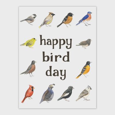 Happy Bird Day - Birding Birthday Card
