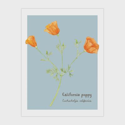 California Poppy Card - Botanical Everyday Greeting Card
