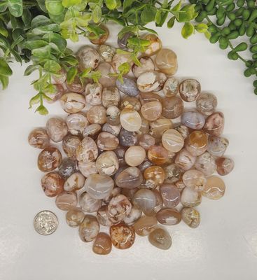 Flower Agate Tumble Stone