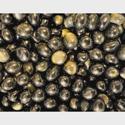 Gold Sheen Obsidian Tumble Stone