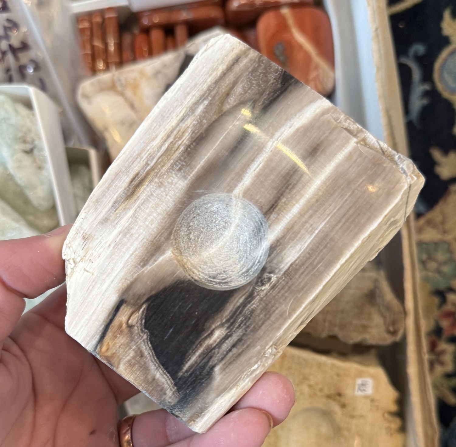 Petrified Wood Slab Sphere Stand