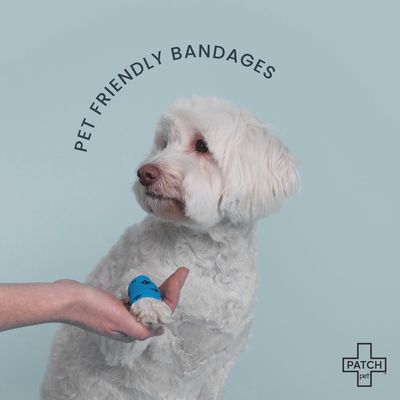 PATCH Pet Eco On-The-Go Travel Bandage Kit for Pets