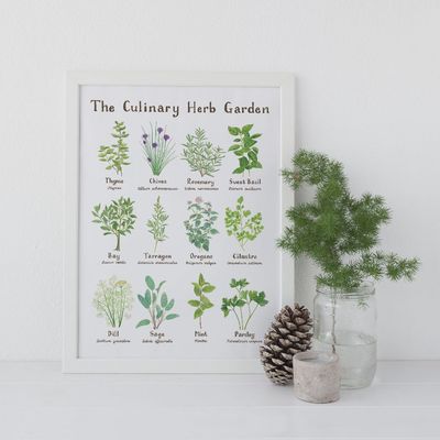 Culinary Herb Garden Art Print - 11 x 14in Botanical Art
