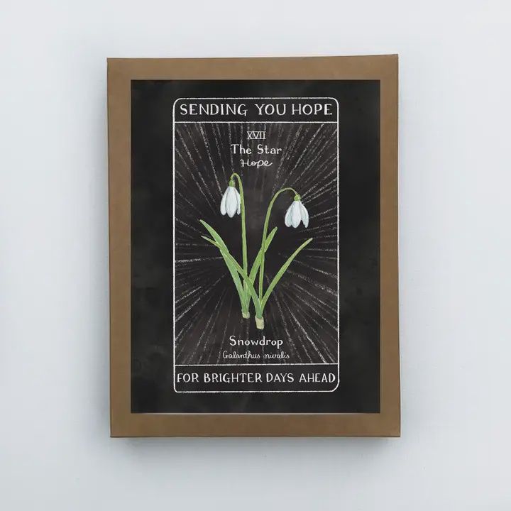 Yardia Greeting Card Box Set | Sending Hope New Year