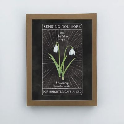 Yardia Greeting Card Box Set | Sending Hope New Year