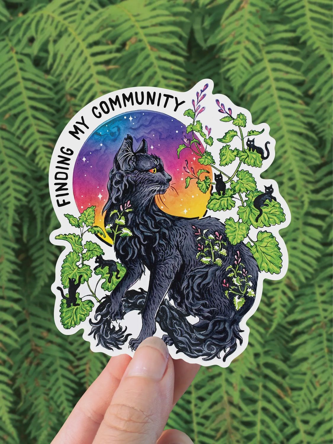 CFS Magnet, Type: Finding Community