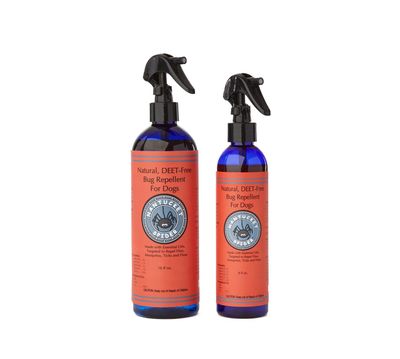 Natural Bug Repellent Spray For Dogs