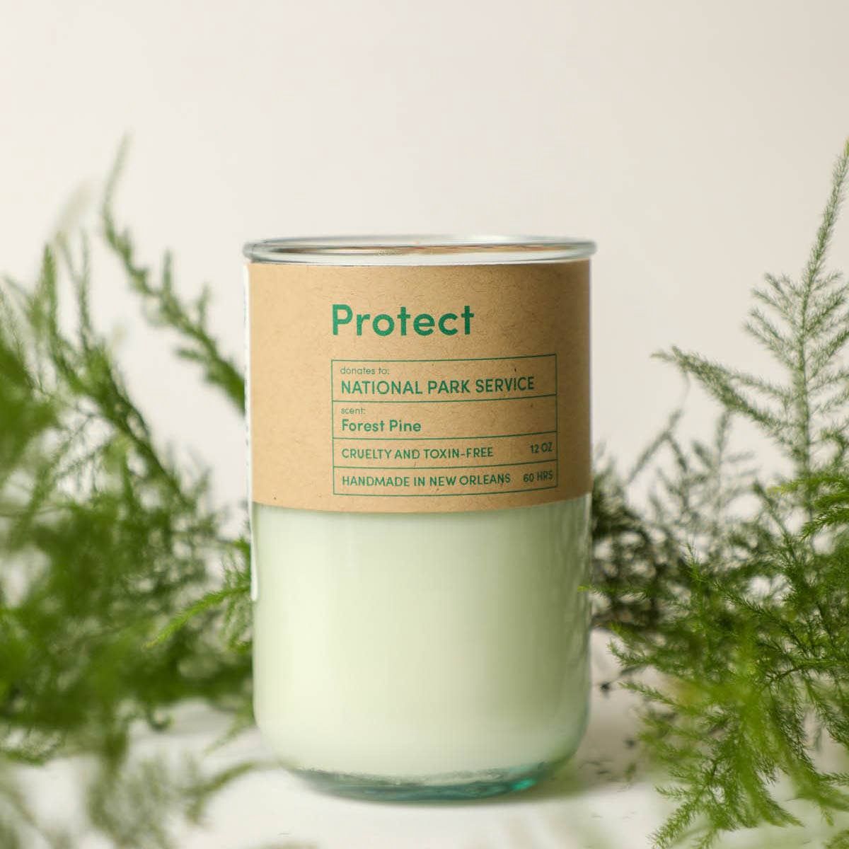 PROTECT | Park Service Eco Candle / Forest Pine
