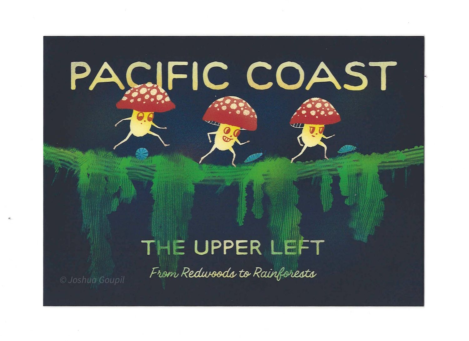 "Pacific Coast" Redwoods to Rainforests Mushroom Postcard