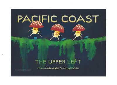 "Pacific Coast" Redwoods to Rainforests Mushroom Postcard