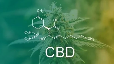 MAS CBD