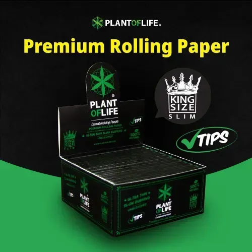 PAPEL SIN BLANQUEAR CON FILTRO CAJA X 26
