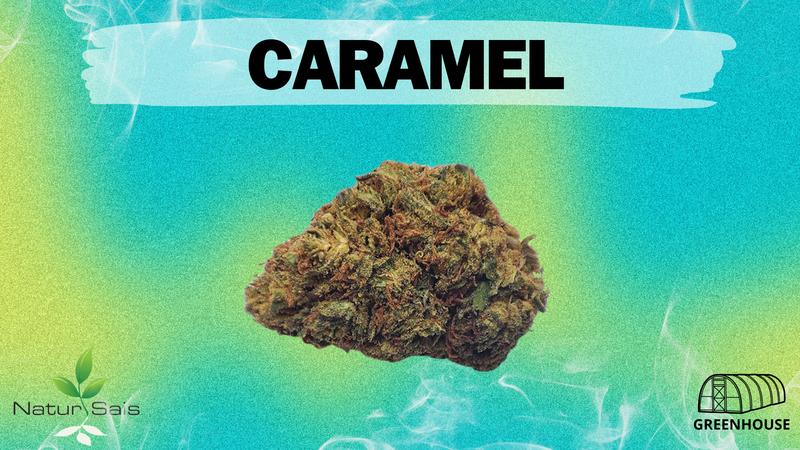 CARAMEL (SMALL BUDS) Desde: 1,60 €/gr
