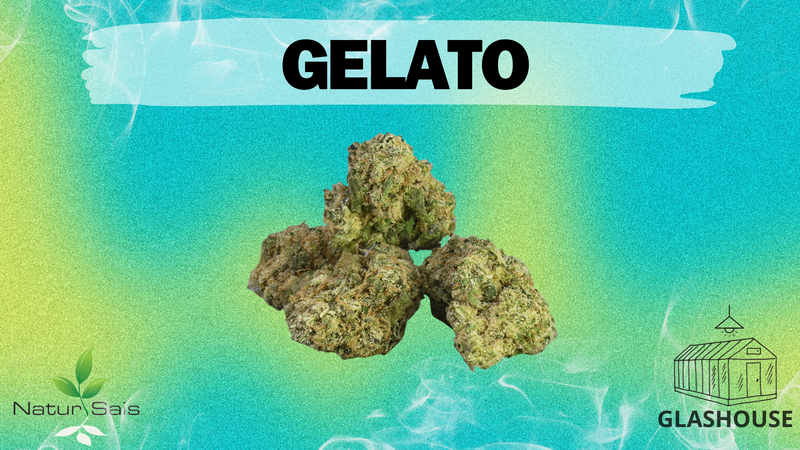 GELATO (SMALL BUDS) Desde: 1,80 €/gr