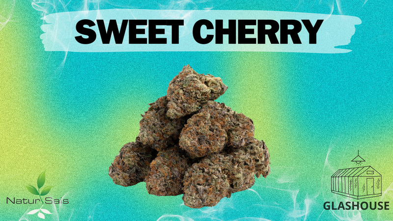 SWEET CHERRY  (SMALL BUDS) Desde: 1,44 €/gr