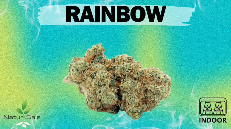 RAINBOW (SMALL BUDS) Desde: 2,00 €/gr