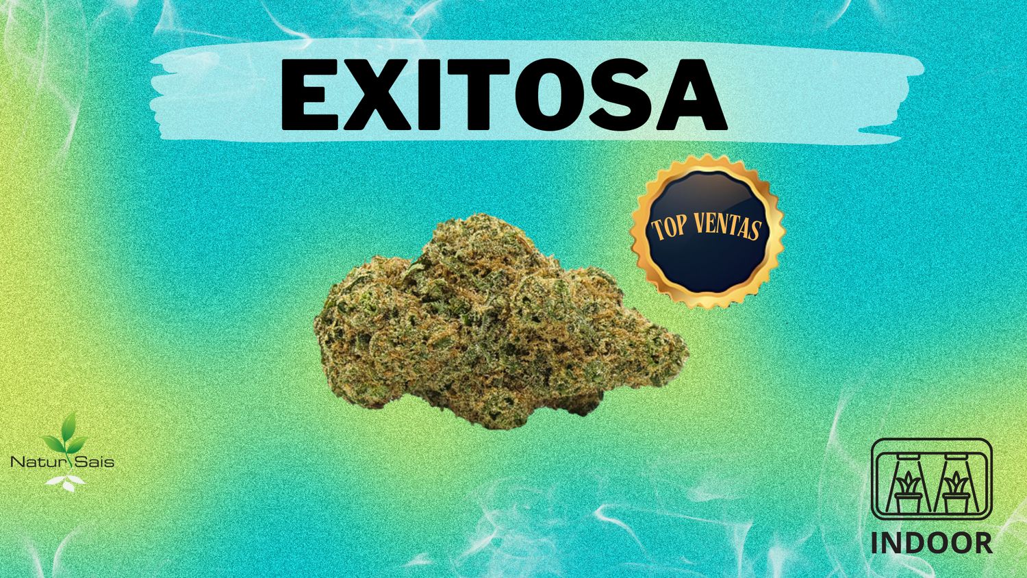 EXITOSA (SMALL BUDS) Desde: 2,00 €/gr