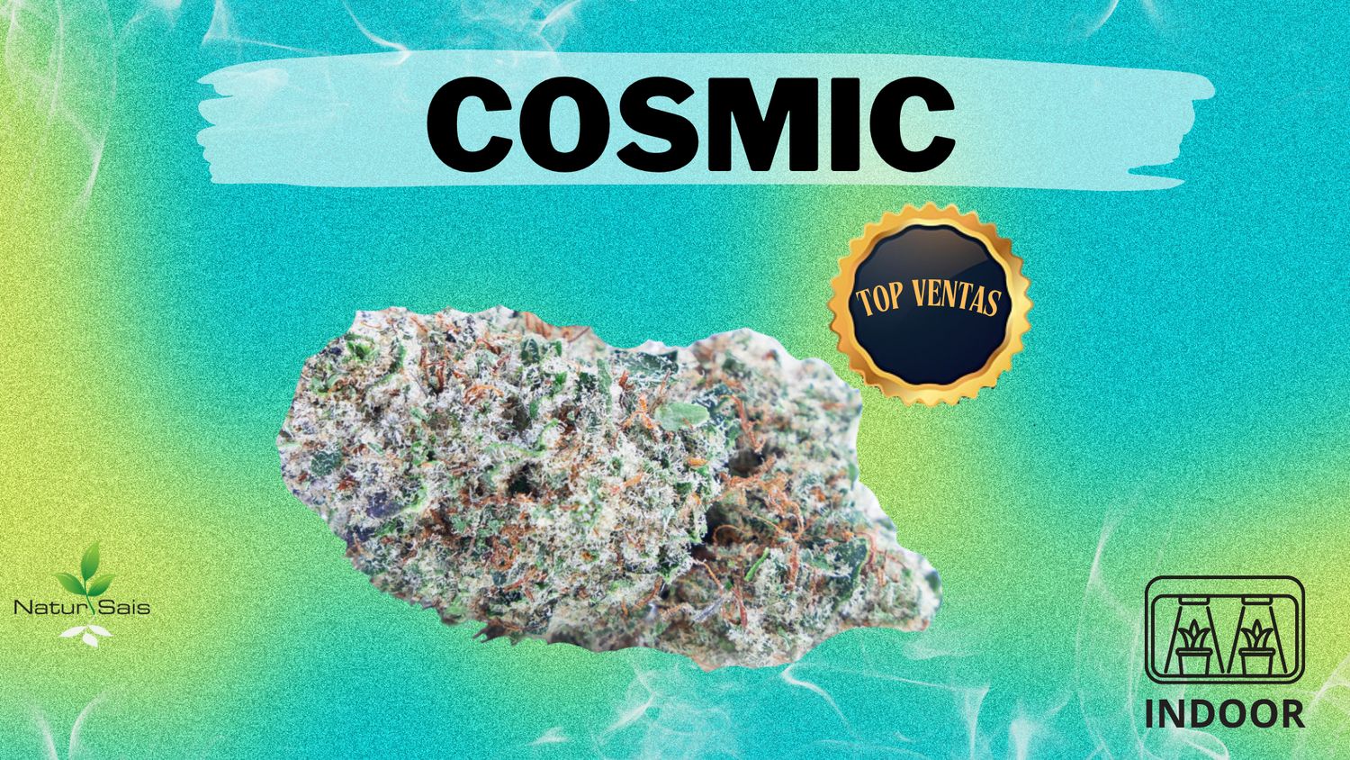 COSMIC (SMALL BUDS)
