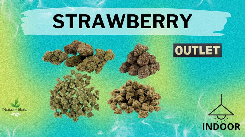 STRAWBERRY (SMALL BUDS) 5 GRAMOS