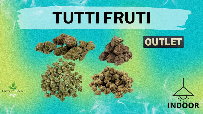 TUTTI FRUTI (SMALL BUDS) 5 GRAMOS