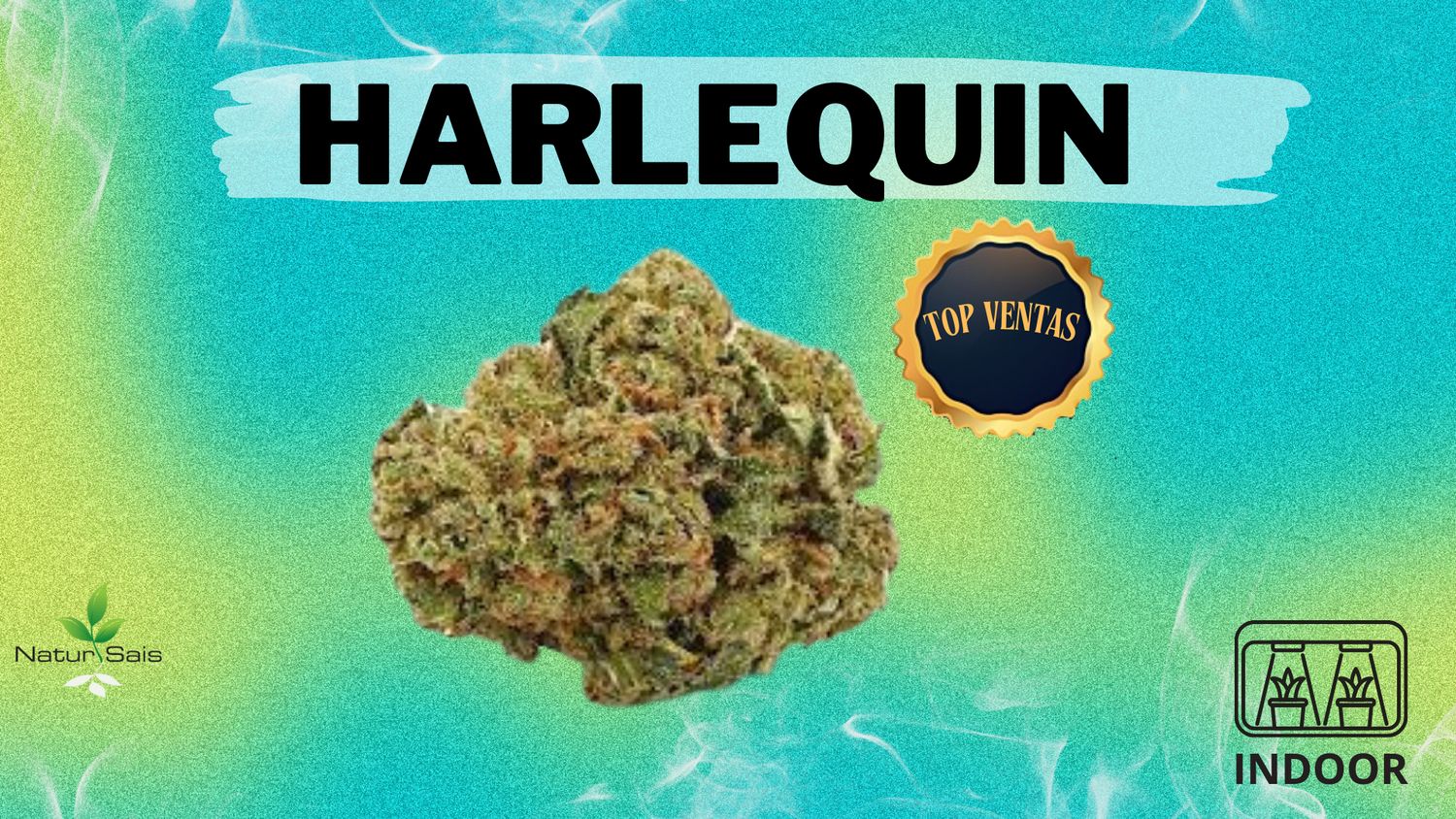 HARLEQUIN (SMALL BUDS) Desde: 2,00 €/gr