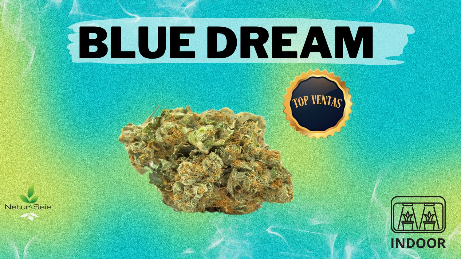 BLUE DREAM (SMALL BUDS) Desde: 2,00 €/gr