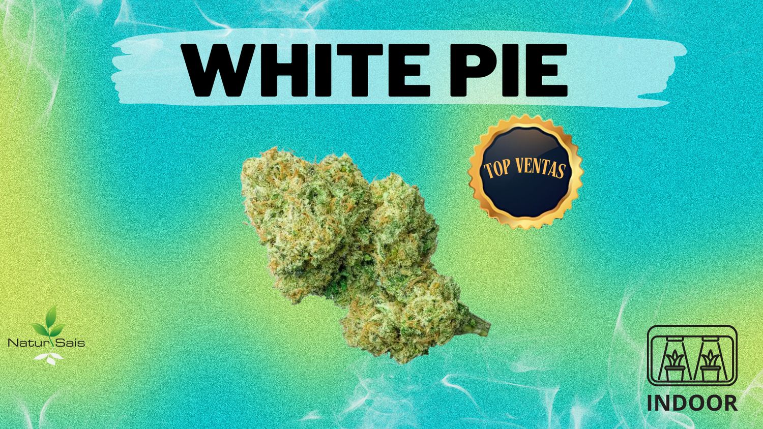 WHITE PIE (SMALL BUDS) Desde: 2,00 €/gr WHITE PIE (SMALL BUDS) Desde: 2,00 €/gr