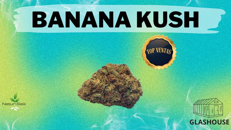 BANANA KUSH (SMALL BUDS) desde: 1,00 €/gr