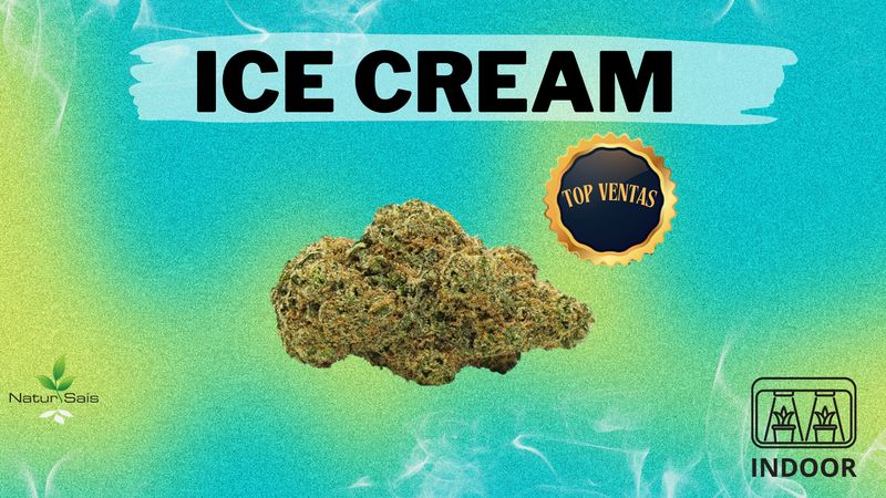ICE CREAM (SMALL BUDS) Desde: 2,00 €/gr
