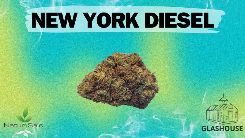 NEW YORK (SMALL BUDS) Desde: 1,00 €/gr