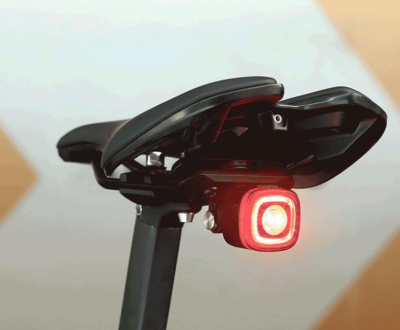 NETFY GPS Tracker für SeeMee Modelle