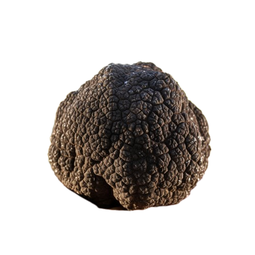 SkyTruffles