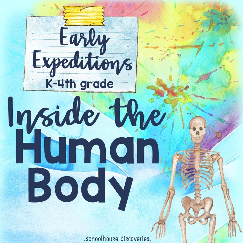 EE Inside the Human Body