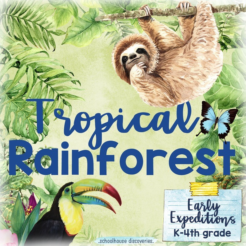 EE Tropical Rainforest (K-4th grade)