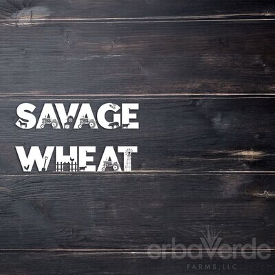 Savage Wheat