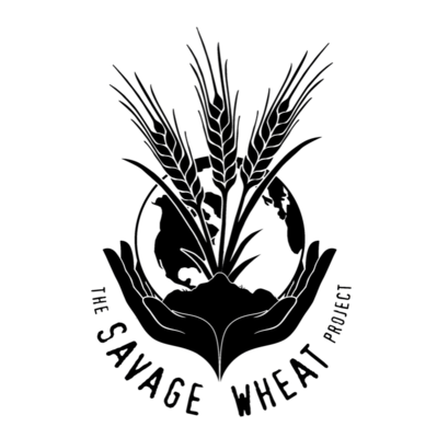 Bread Rye Blend Flour plus Caraway 36 oz