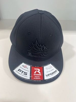 Puff Embroidery Hat - YOUTH