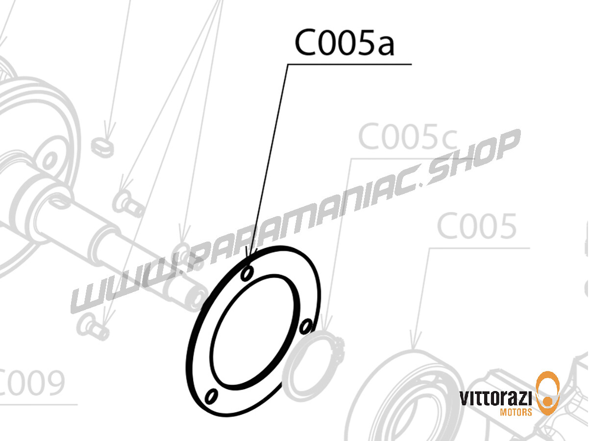 C005a - Lagersicherungsplatte mit Bolzen 5 x 12 mm Tsei DIN 7991 - Cosmos300