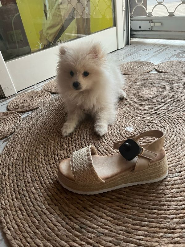 Sandalias comoditas